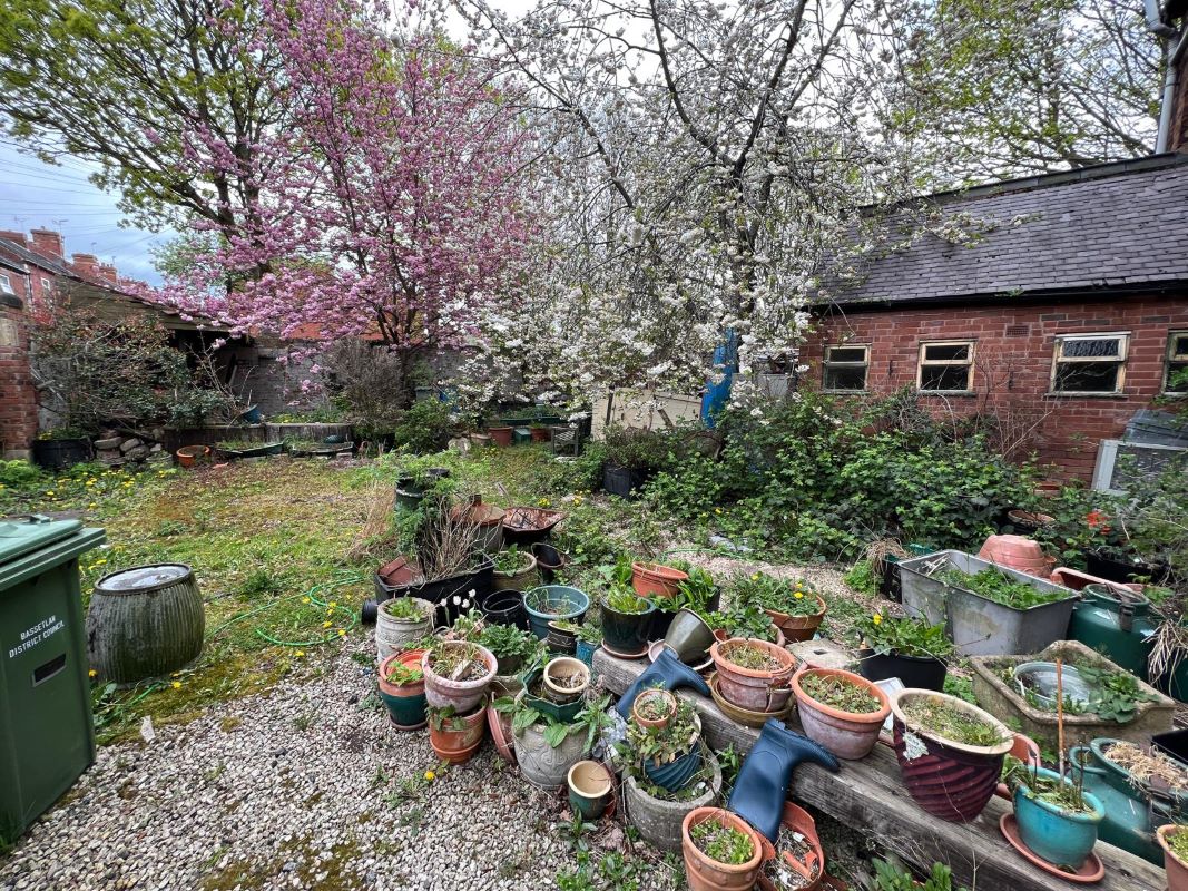 Lot Image