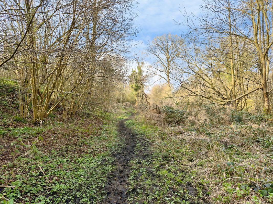 Lot Image