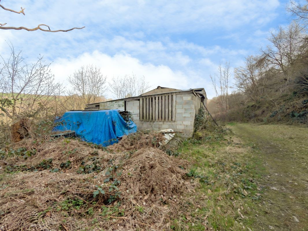 Lot Image