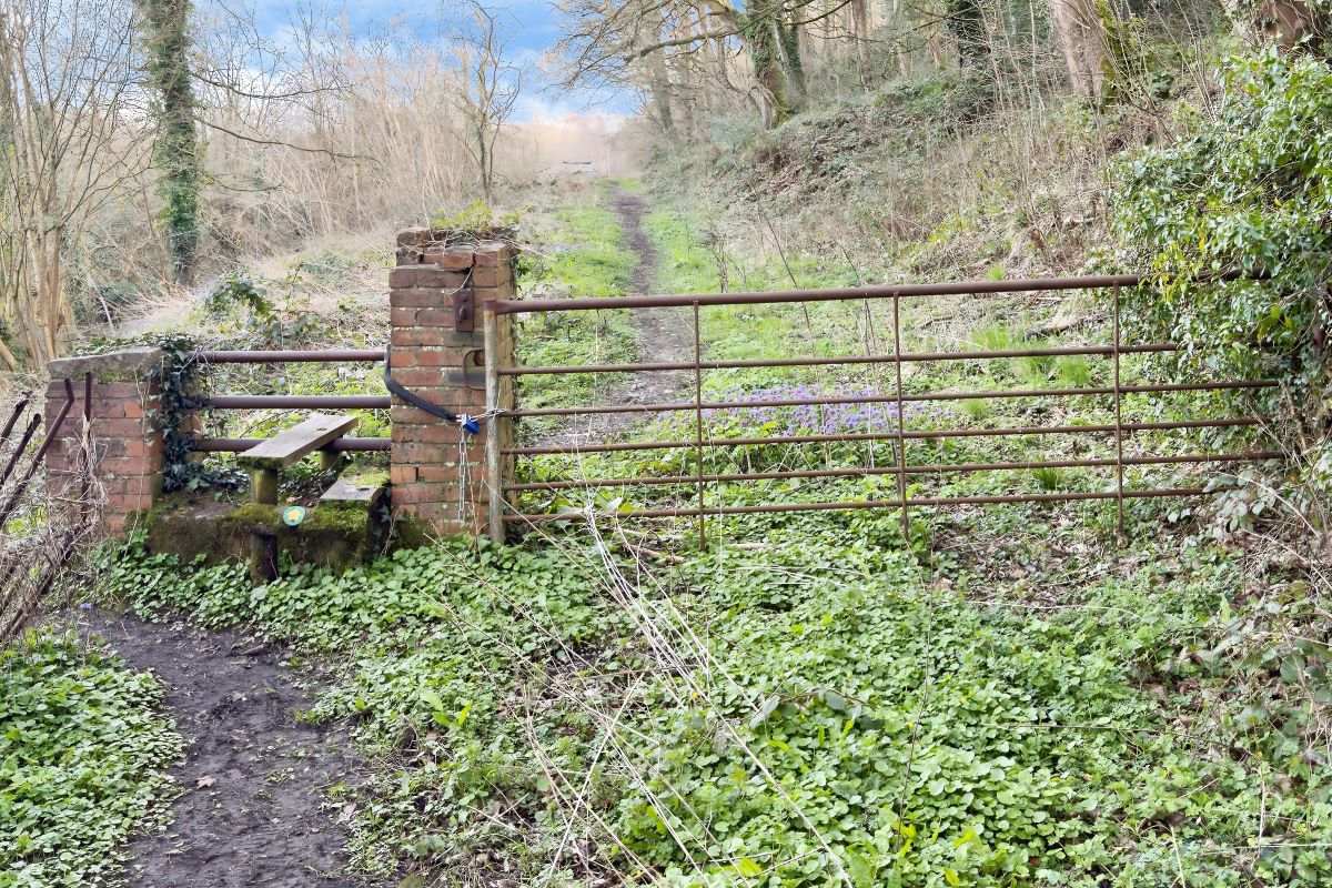 Lot Image