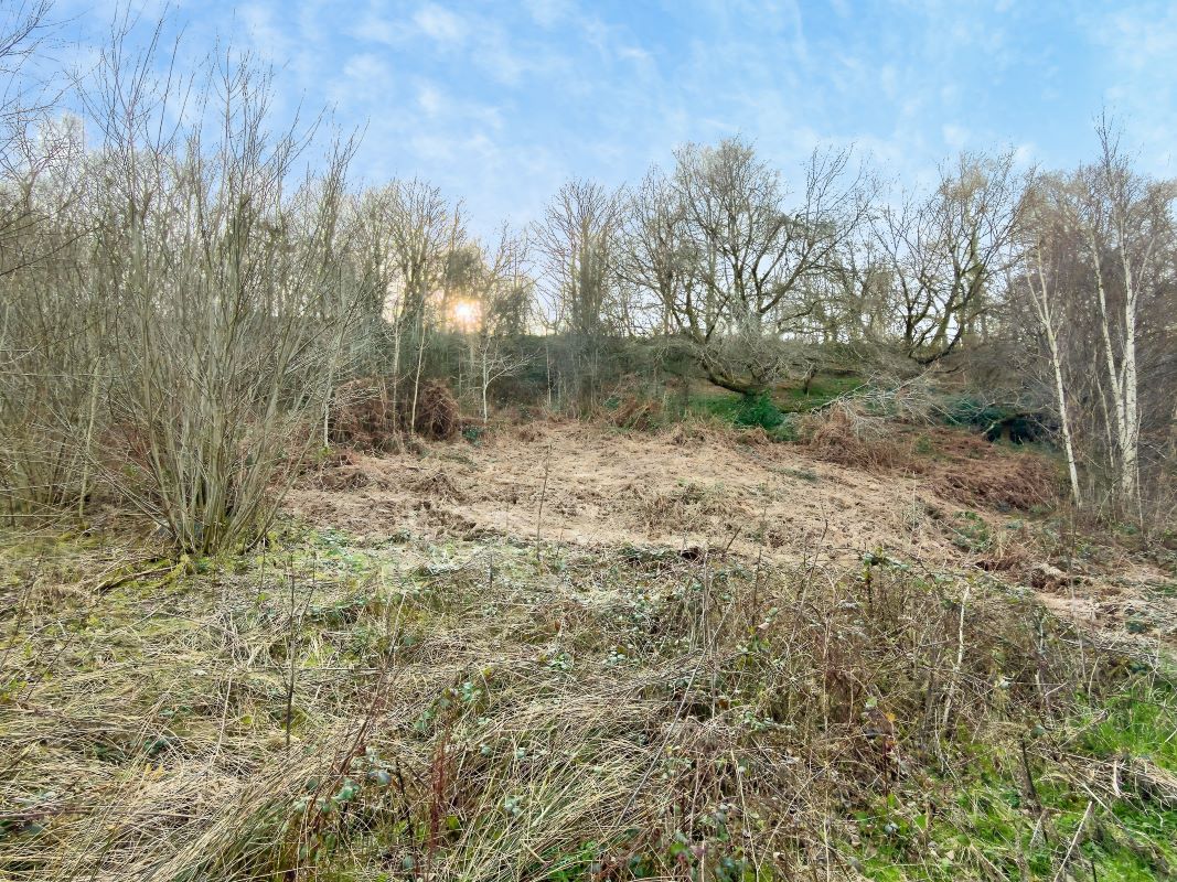 Lot Image