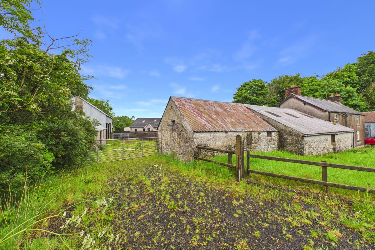 Lot Image
