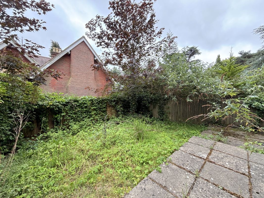 Lot Image