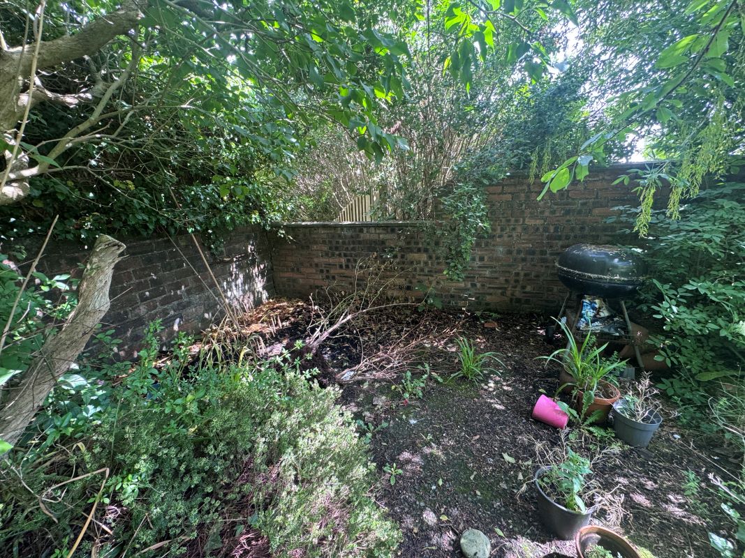 Lot Image