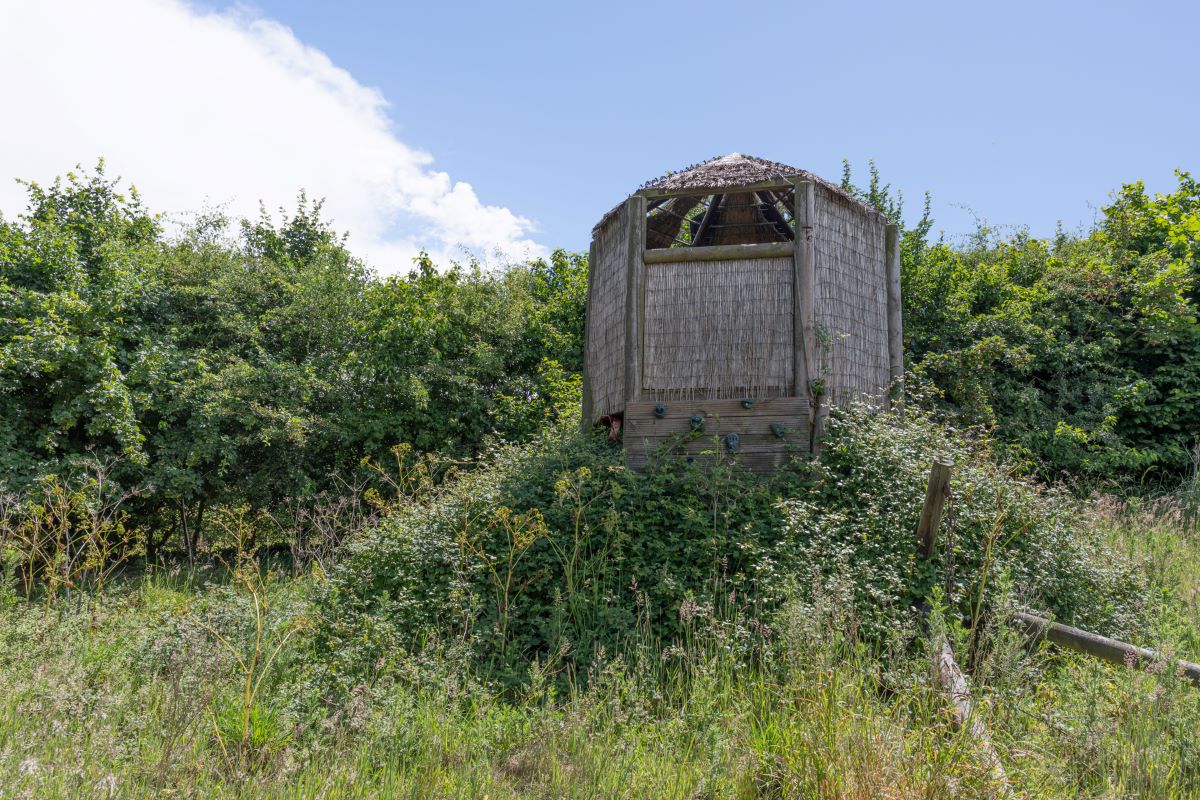 Hollybush Farm Thwaite Road, Bungay, Suffolk, NR35 2RX