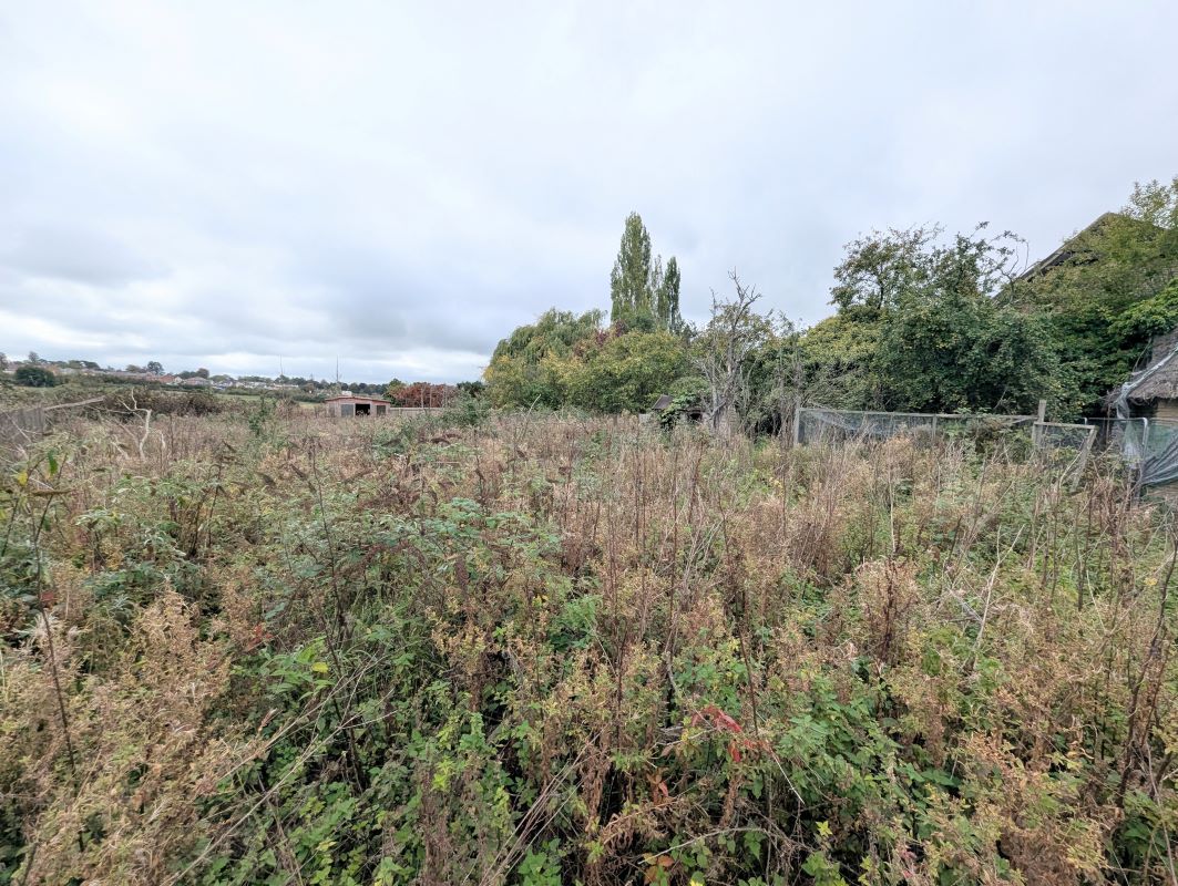 Lot Image