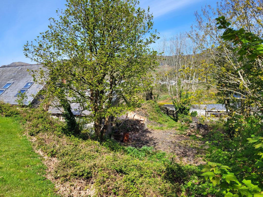 Lot Image