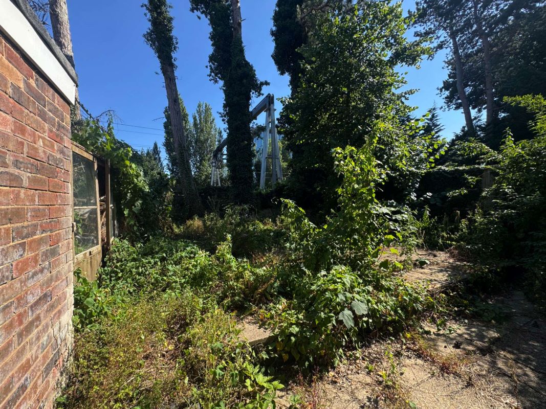 Lot Image