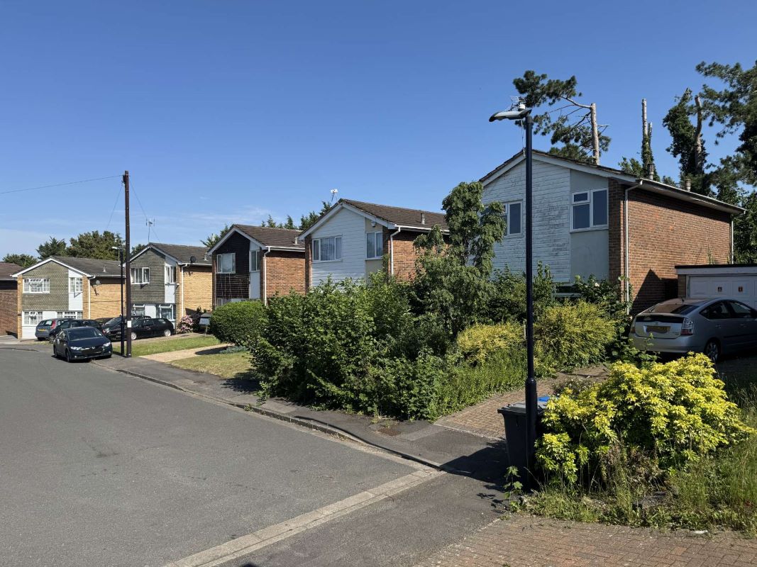 Lot Image