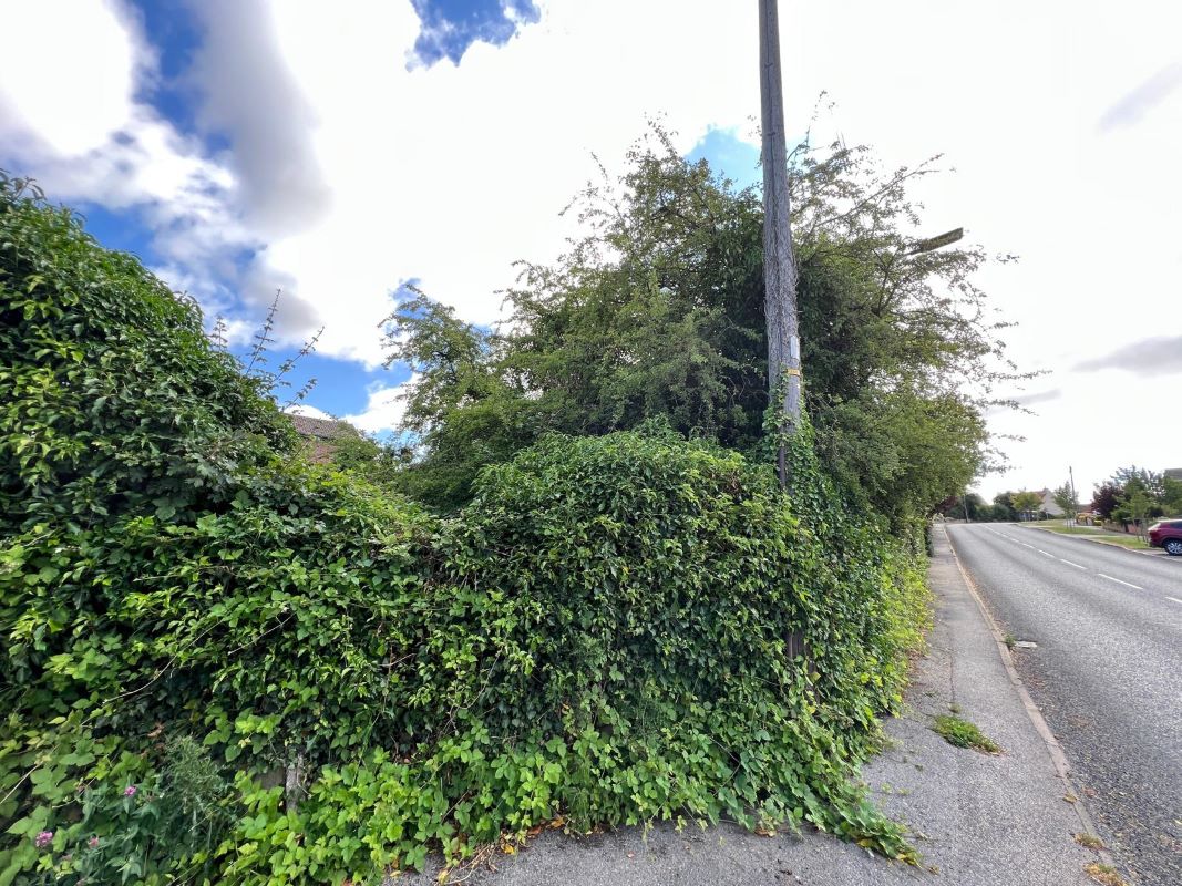 Lot Image