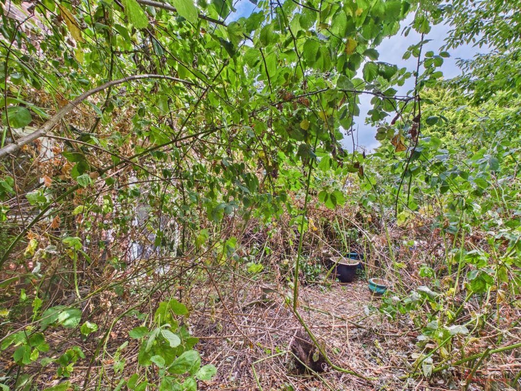 Lot Image