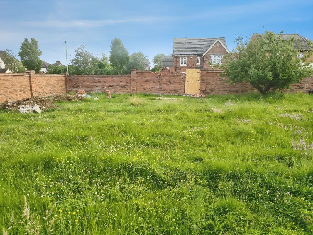 Lot Image