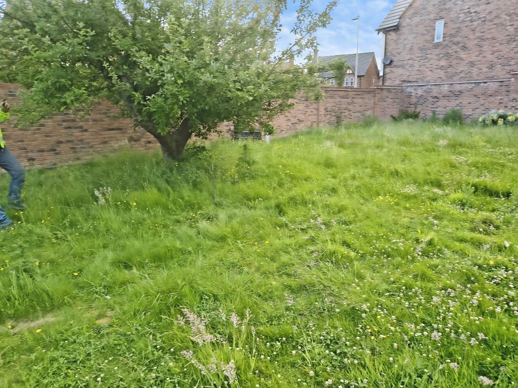 Lot Image