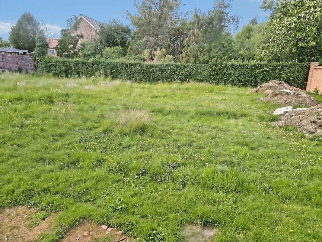Lot Image