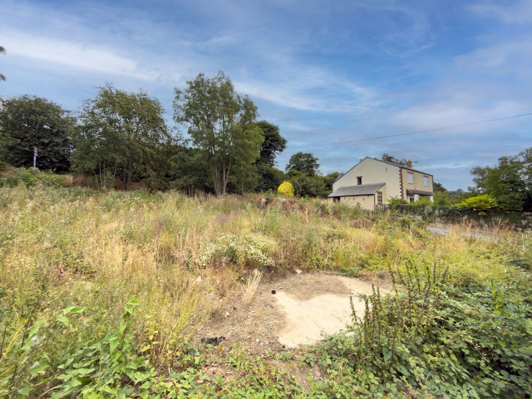 Lot Image