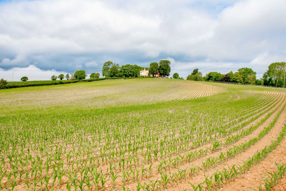 Property for Auction in South West - Plot D, Land East Of Exmouth Road Ebford, Exeter, Devon, EX3 0PQ