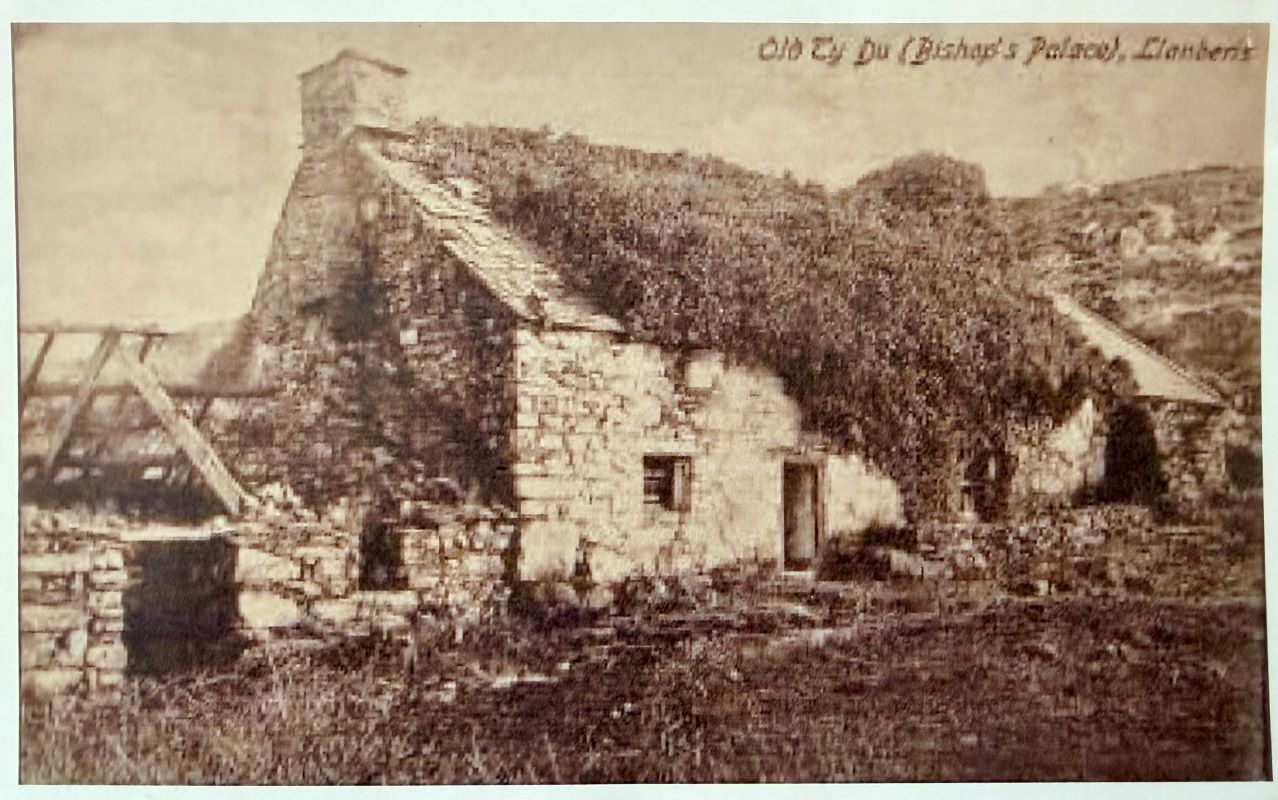 Lot Image