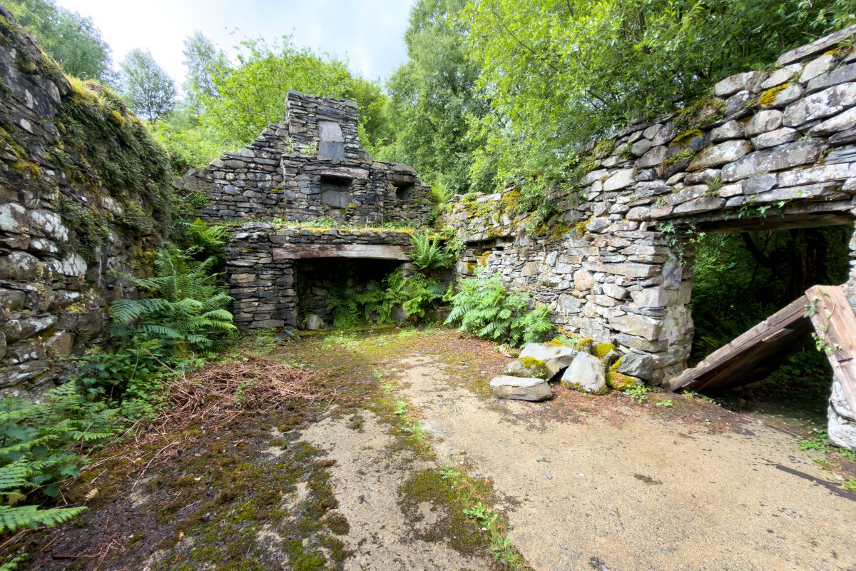 Lot Image