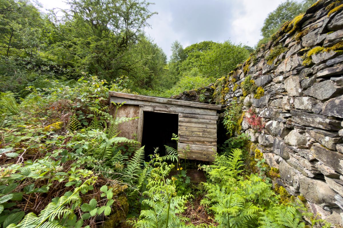 Lot Image