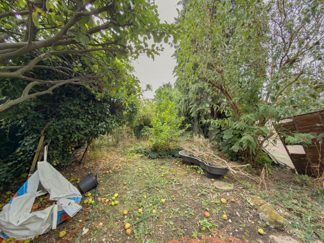 Lot Image