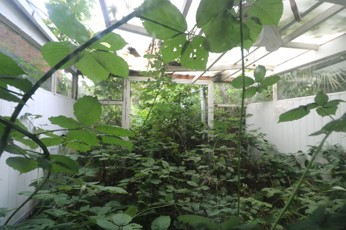 Lot Image