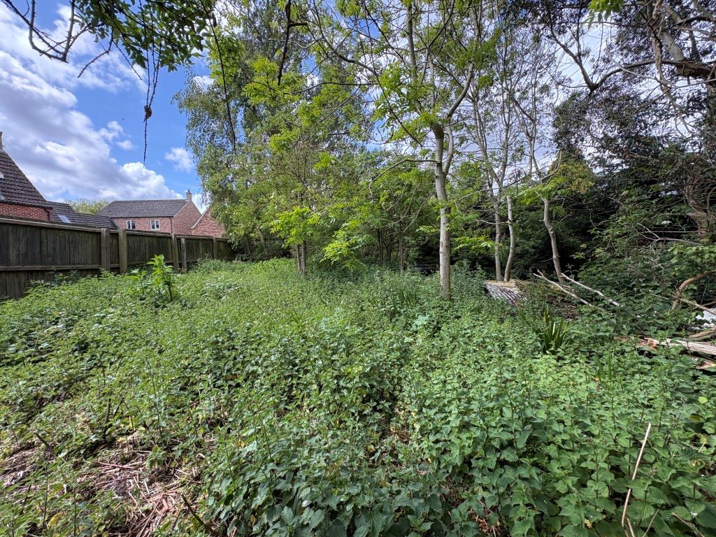 Lot Image