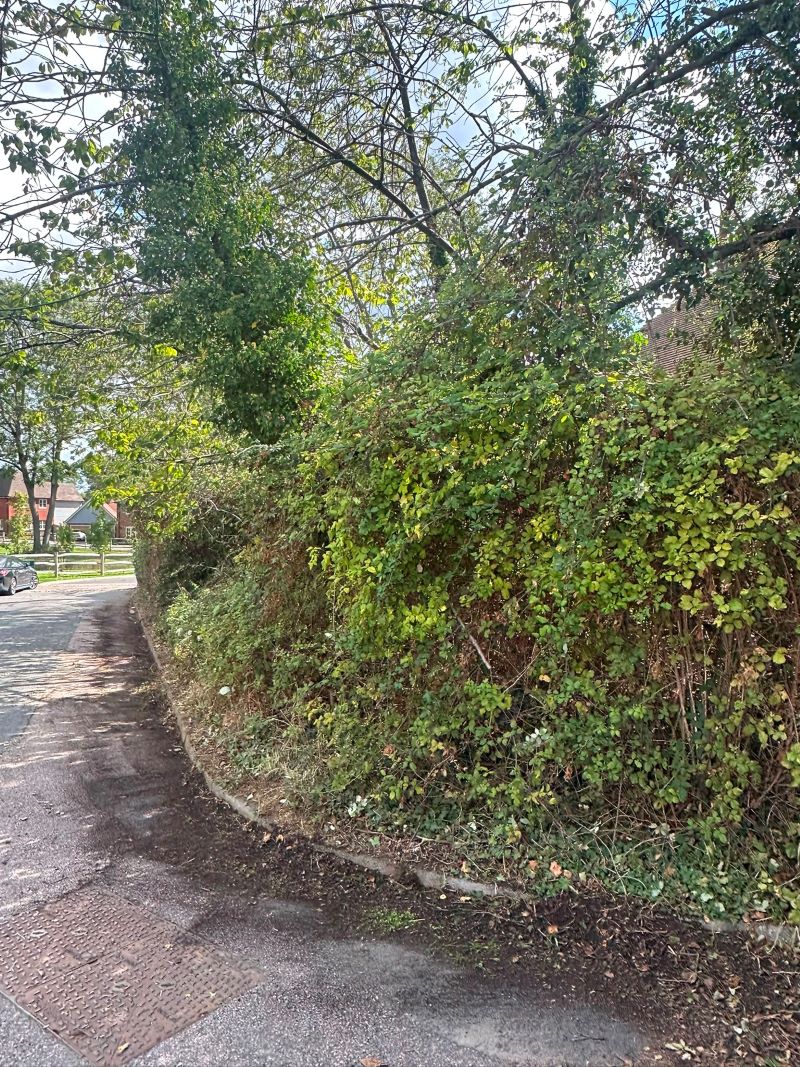 Lot Image