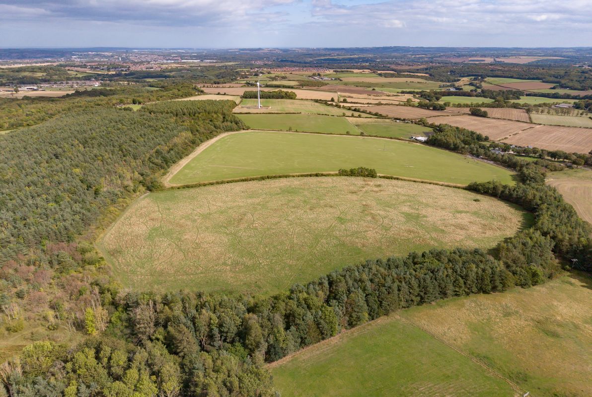 Lot Image