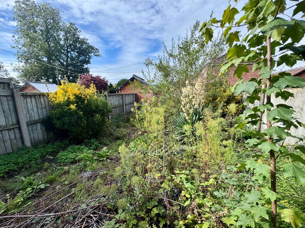 Lot Image
