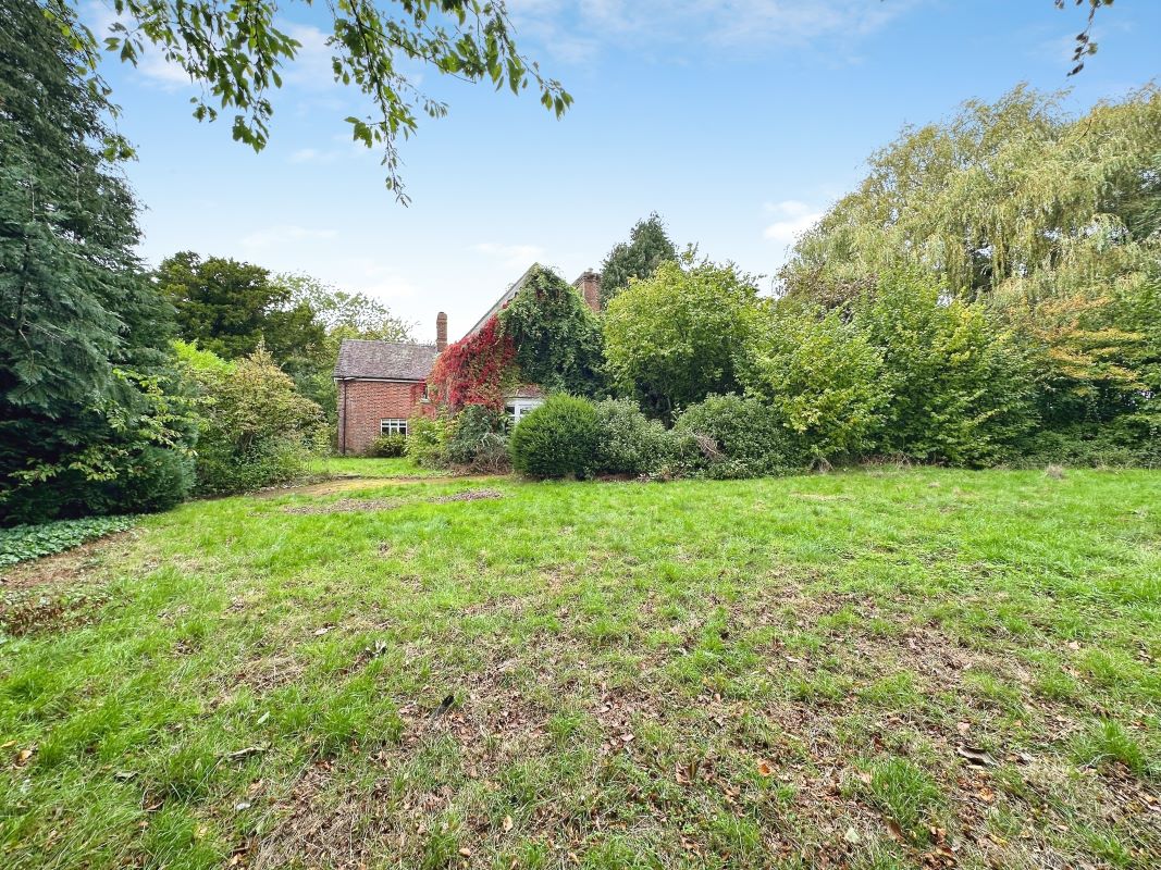 Lot Image