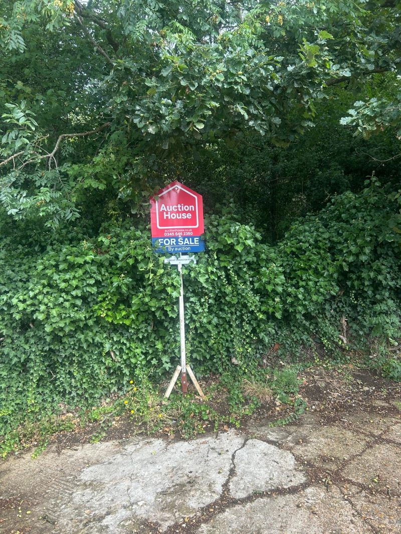 Lot Image