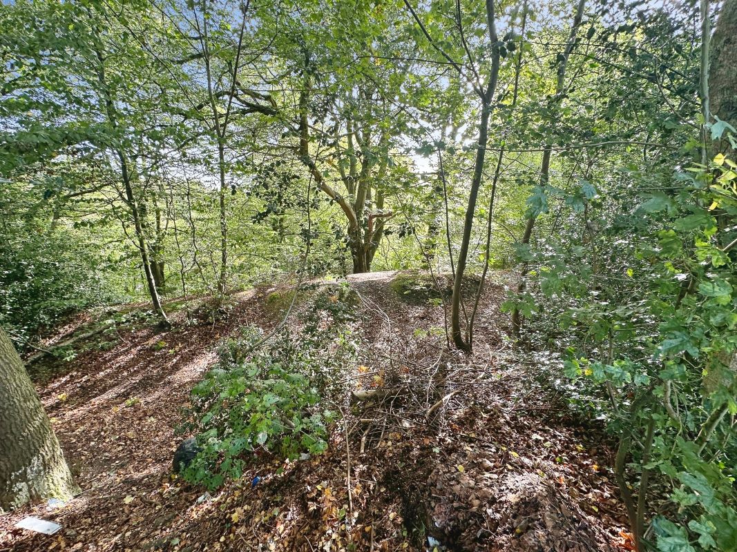 Lot Image