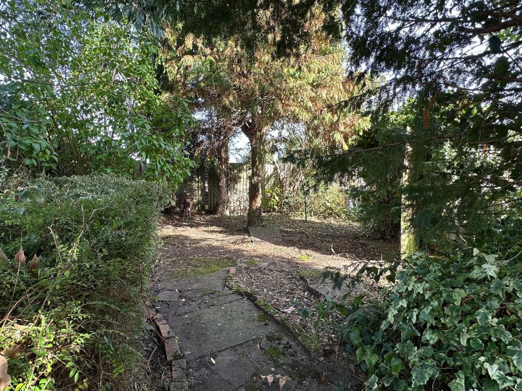 Lot Image