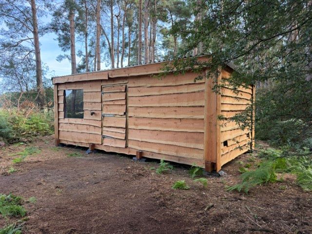 Property for Auction in East Anglia - Woodland, Forestry Building and Hardstanding off Knettishall Road, Riddlesworth, Suffolk, IP22 2TE