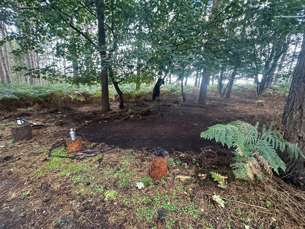 Lot Image