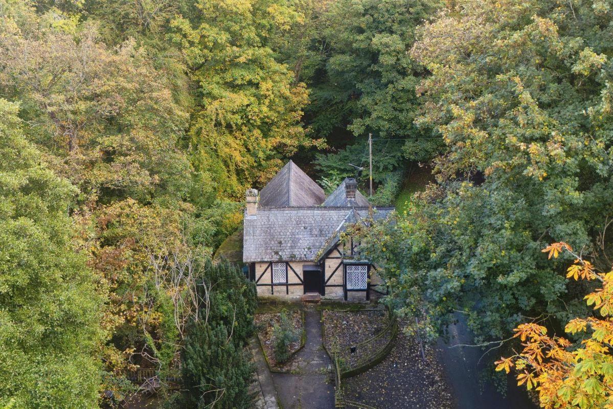 Lot Image