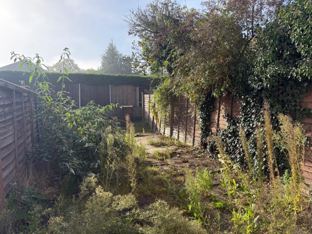 Lot Image