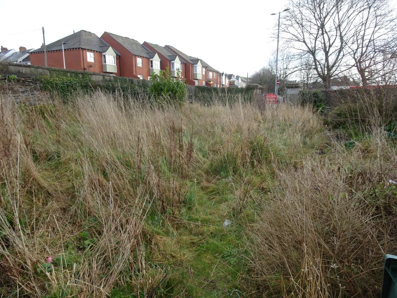 Lot Image