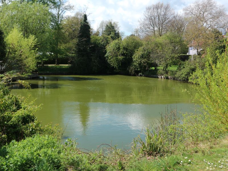 Lot Image