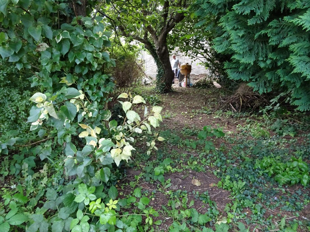 Lot Image