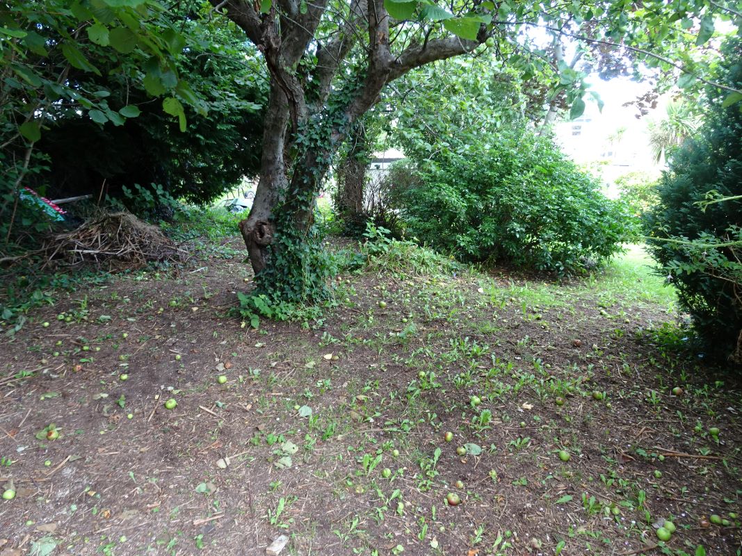 Lot Image