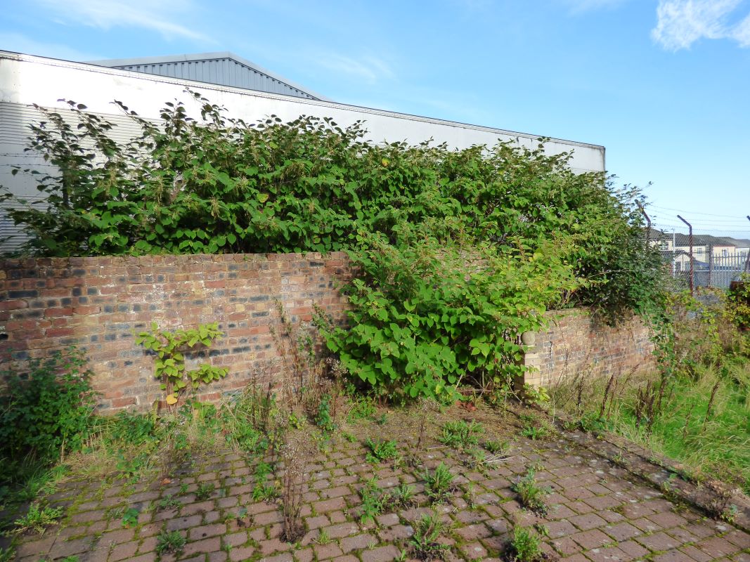 Lot Image