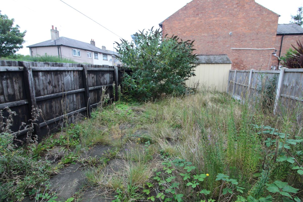 Lot Image