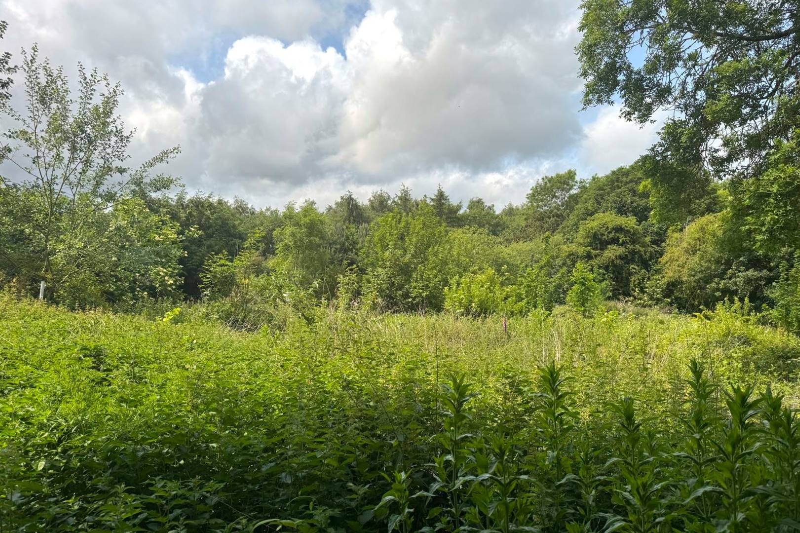 Land at Grange Close, Teversal Village, Sutton-in-Ashfield, NG17 3JN