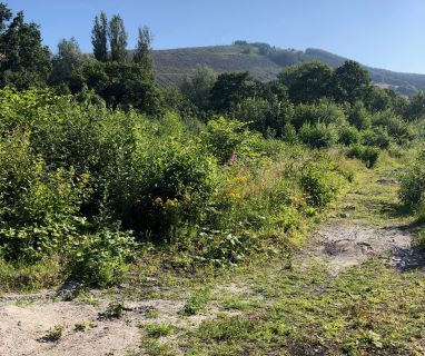 Property for auction in Mid Glamorgan)