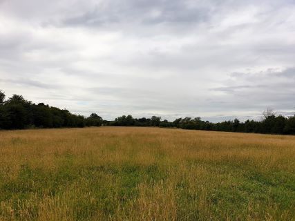 Property for auction in Wiltshire)