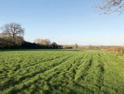 Property for auction in Somerset)
