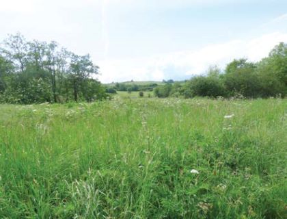 Property for auction in Dorset)