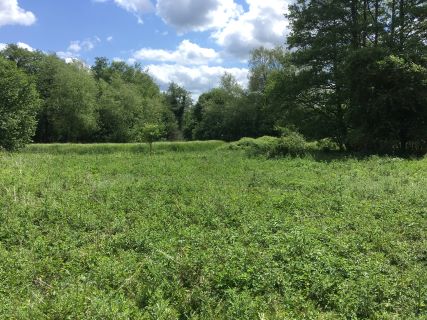 Property for auction in Norfolk)