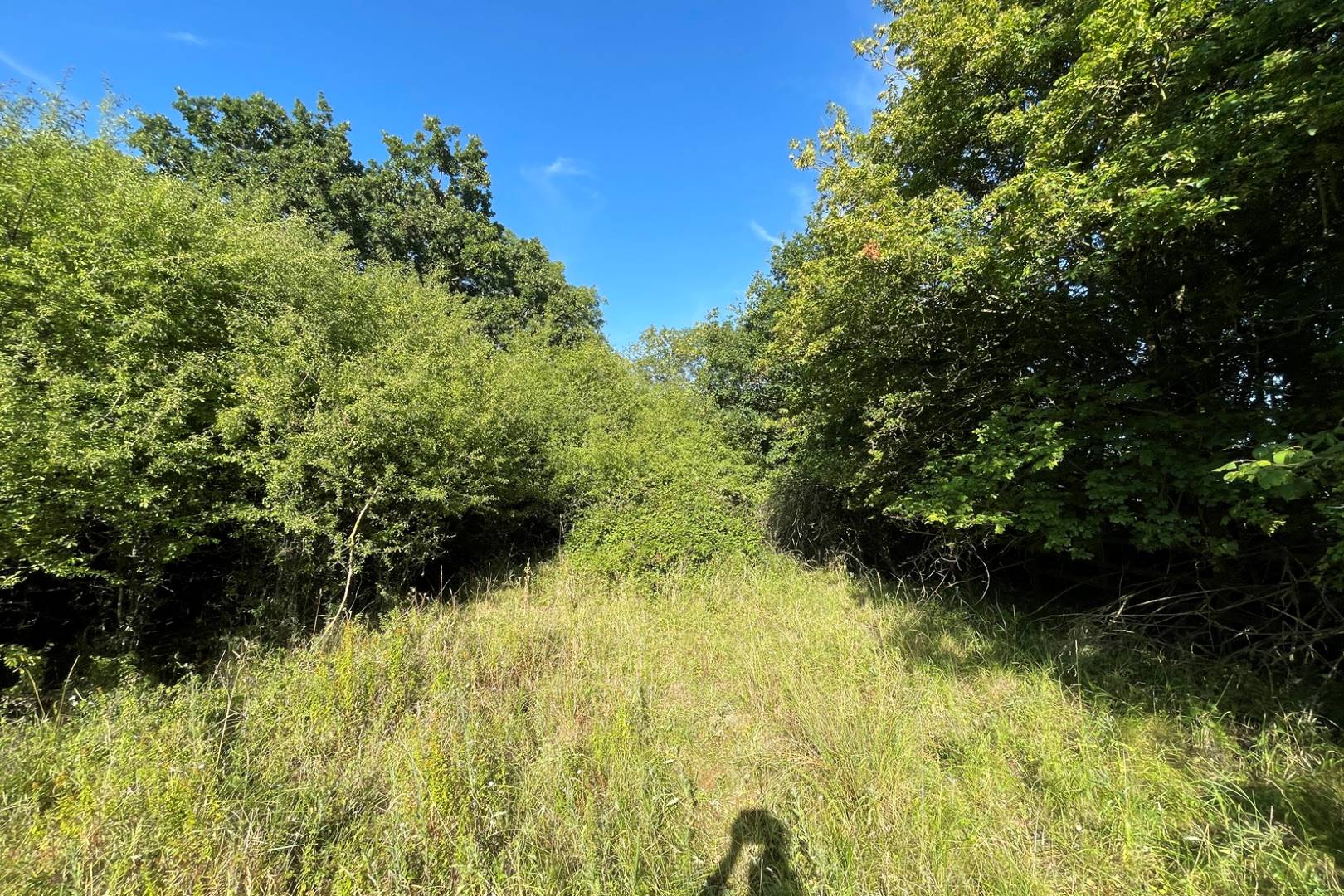 Land at Oxford Road, Wendlebury, Oxfordshire, OX25 3QE
